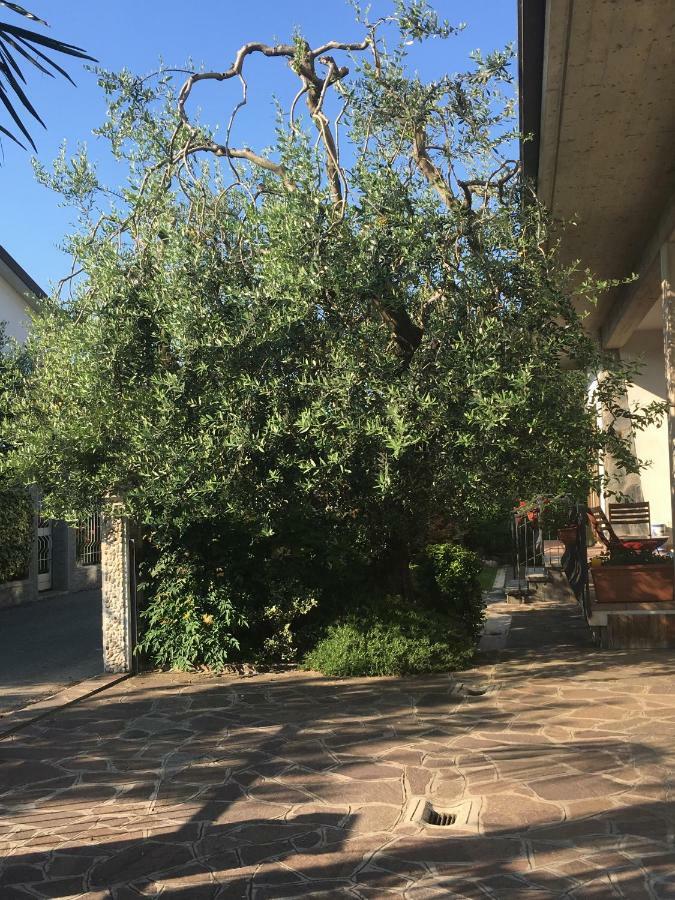 فيلا Celeste'S House ريفولتيلا المظهر الخارجي الصورة